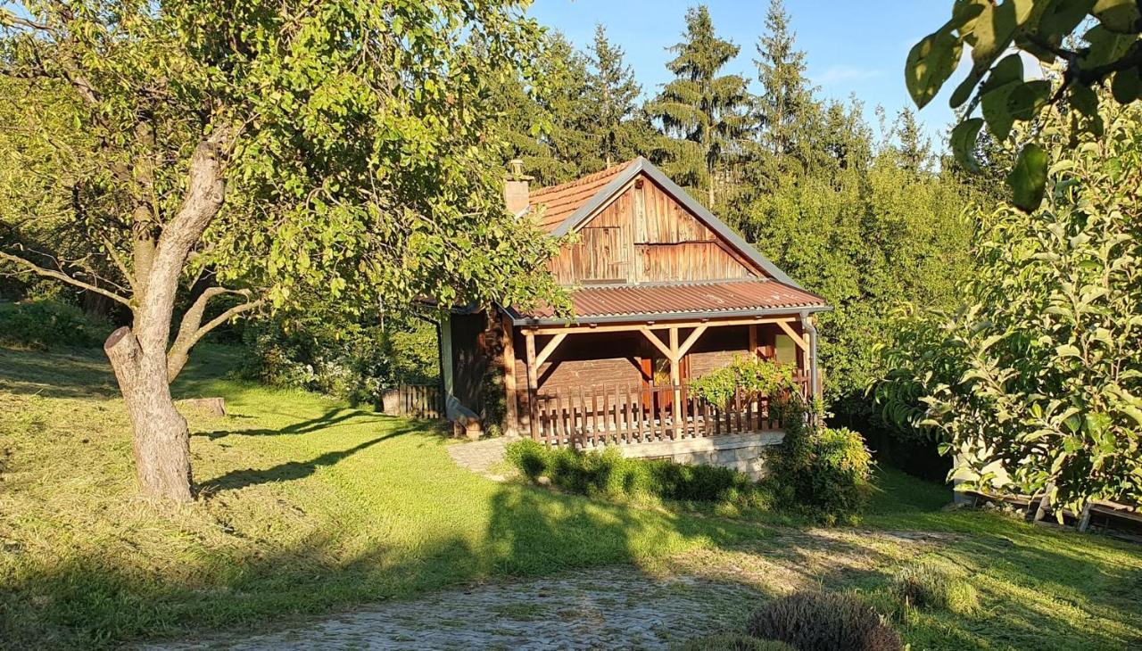 Hiska Ob Gozdu Villa Polzela Exterior photo